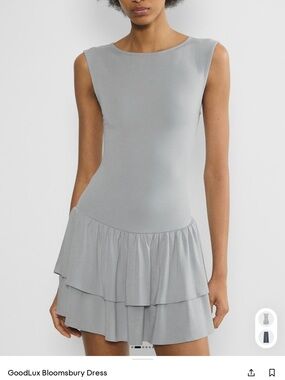 Aritzia dress